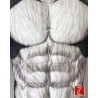 Toon Husky Muscle Petsuits | 3D Padded Furry Muscle Costume