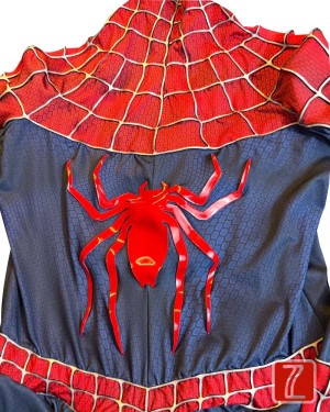 RA Rot/Blauer Anzug – ZZcostume.com