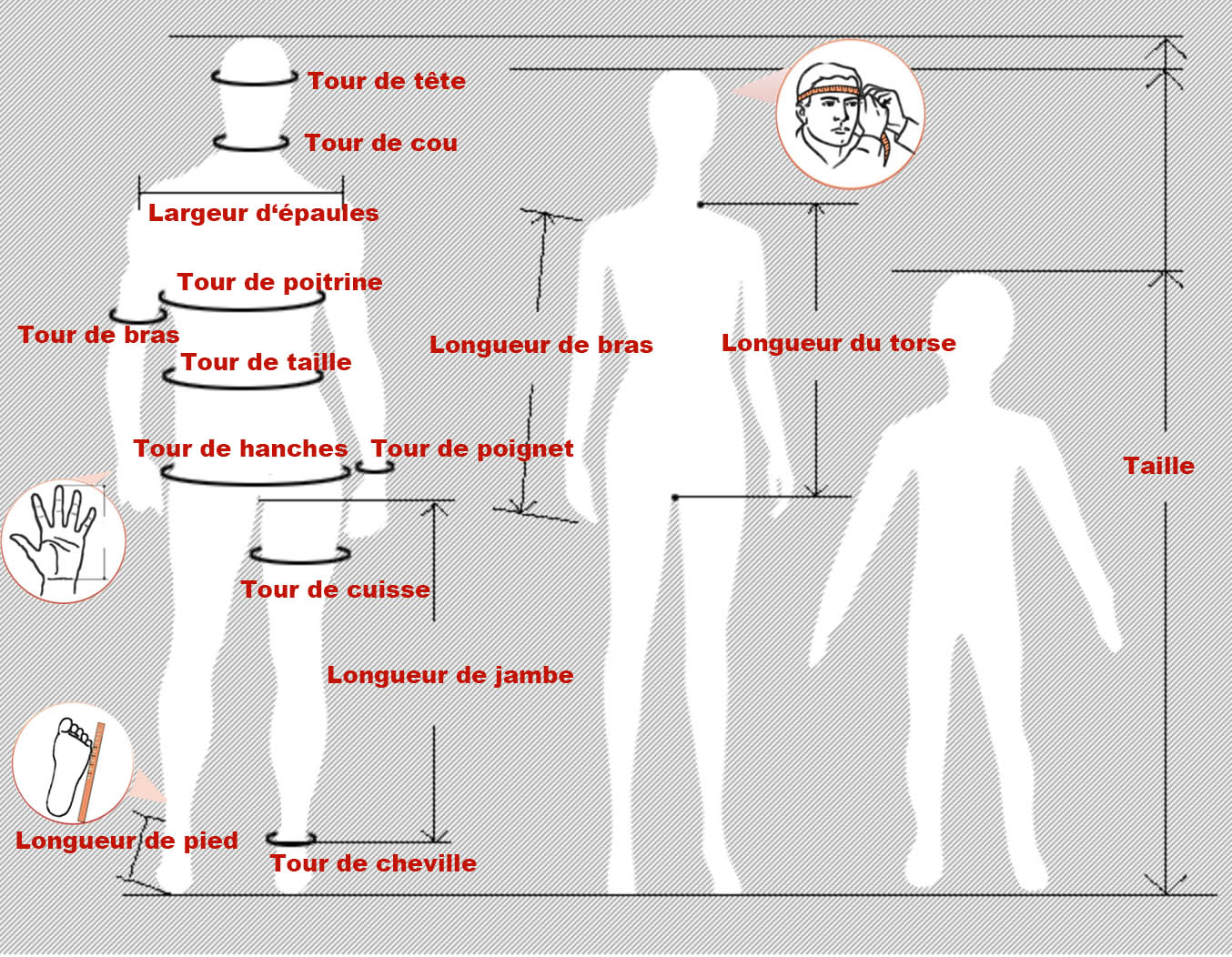 Guide des tailles