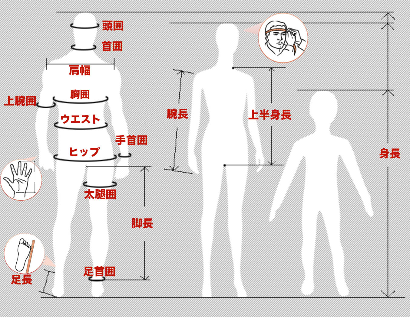 サイズガイド - ZZcostume